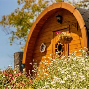 Marlborough Wine Barrel Guest house